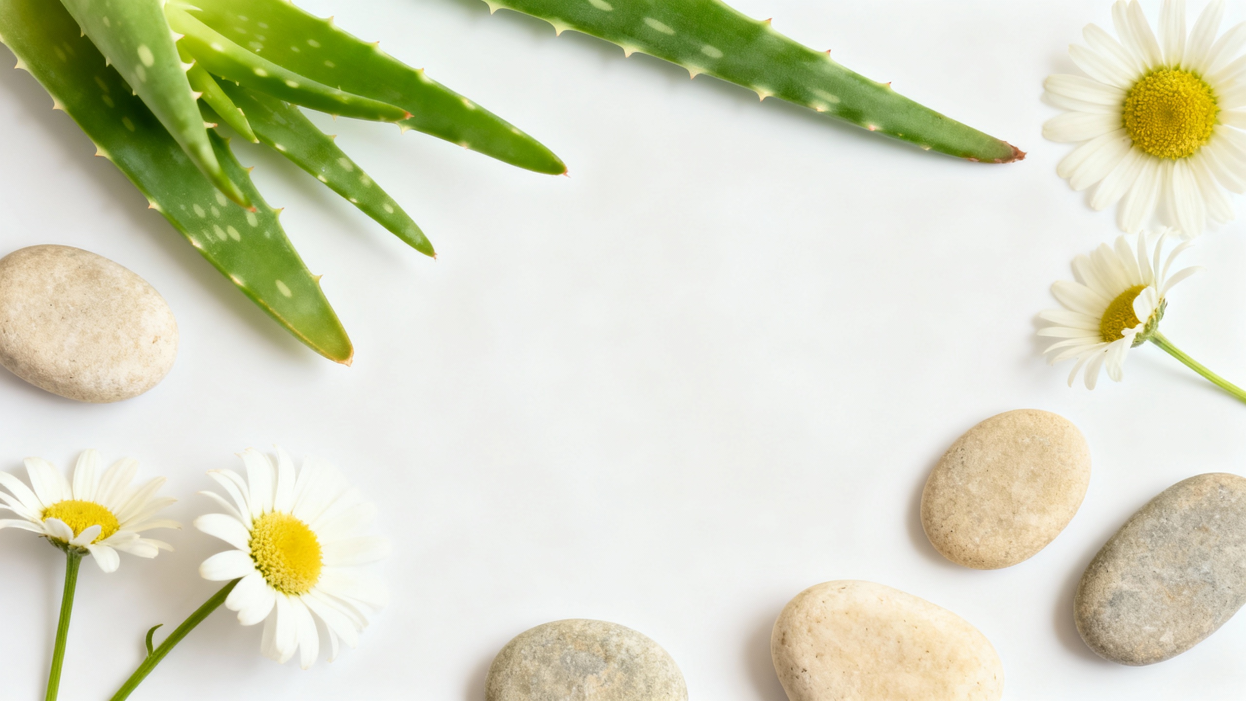 Featured image for Soothing Solutions: Coping Strategies for Contact Dermatitis Exposed